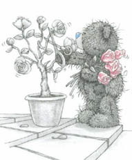 Мишка Тедди срезает розы