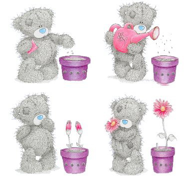 Мишка Тедди выращивает цветок