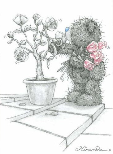 Мишки Тедди срезает розы