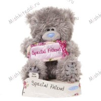 Мишка Тедди Me to You 10 см с надписью Special Friend - Special Friend Banner Me to You Bear G01W1970 160