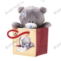 Мишка Тедди Me to You в сумочке - Bear In Christmas Gift Bag Me to You Bear  G92W0049 172