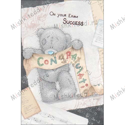 Congratulations on Your Exam Success Me To You Bear Card Congratulations on Your Exam Success Me To You Bear Card