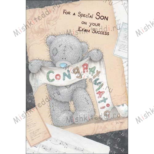 Special Son on Your Exam Success Me To You Bear Card Special Son on Your Exam Success Me To You Bear Card