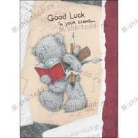Good Luck in your Exams Me to You Bear Card
