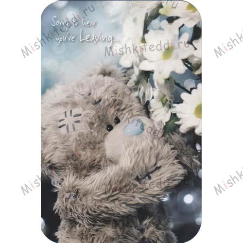 Sorry Your Leaving Me to You Bear Card Sorry Your Leaving Me to You Bear Card