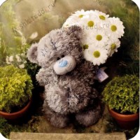 Bear with Daisies Mothers Day Me to You Bear Card