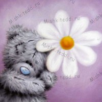 Bear with Daisy Me to You Bear Card