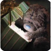 Bear With Present Me to You Bear Card