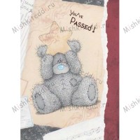 You have Passed! Me to You Bear Card