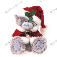 Мишка Тедди Me to You рождественский - Santa Me to You Bear  G01W1922 88